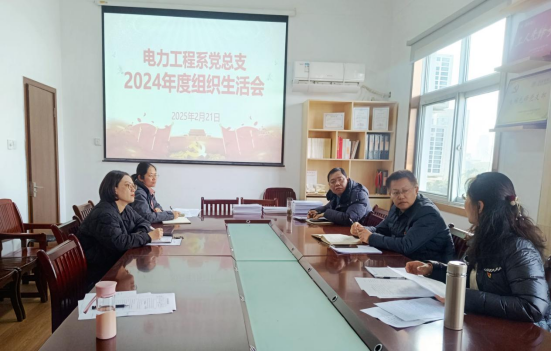 電力工程系黨總支：組織召開2024年度組織主活會